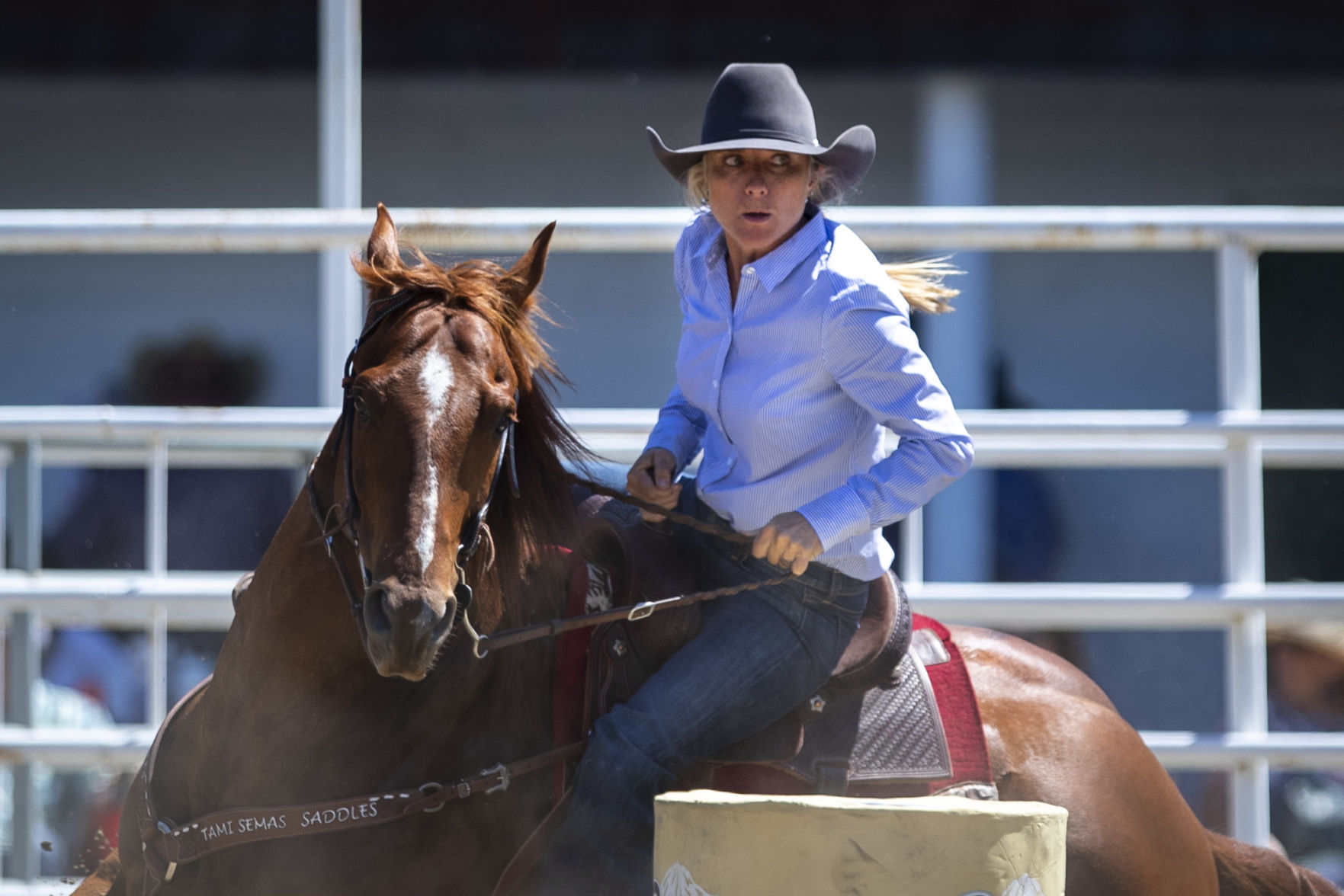 Rodeo Roundup